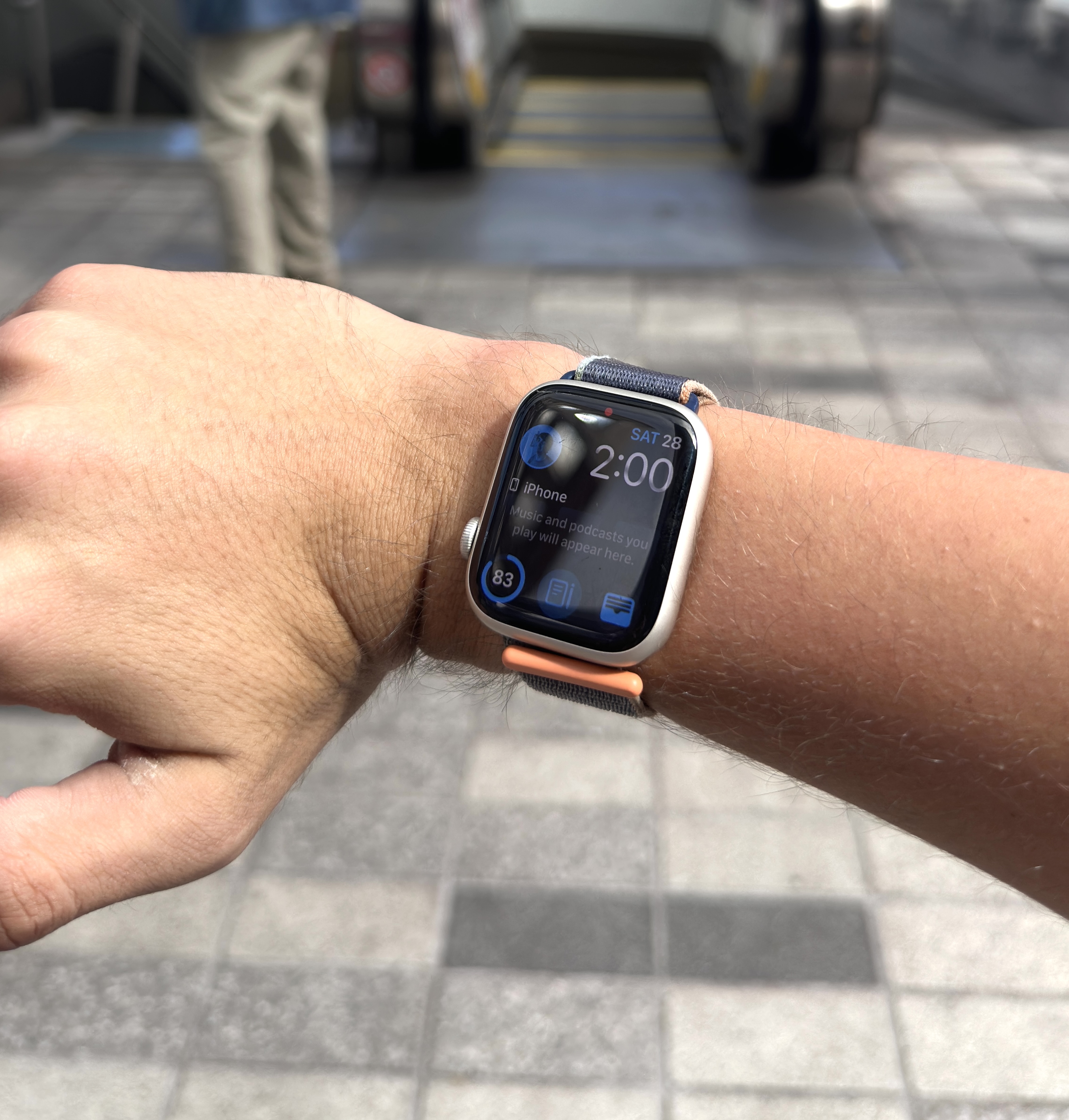 TRANSOC Transit Agency Mayhem Speedrun TRANSOC Transit Agency Mayhem Speedrun