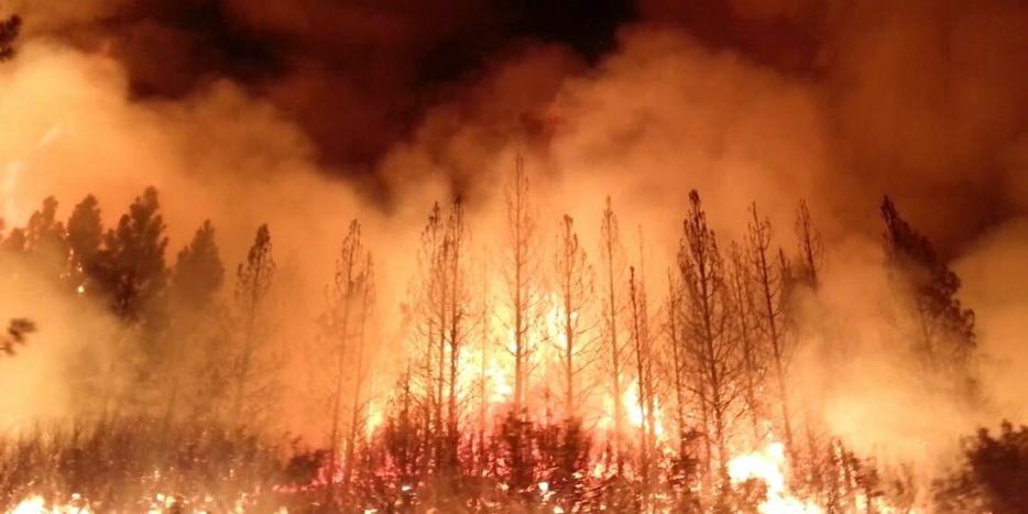 The Rim Fire in California on Aug. 17, 2013.